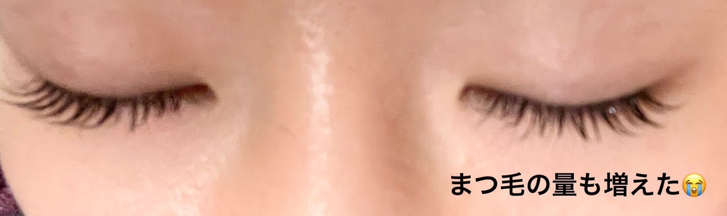 EGUTAM エグータム/アルマダスタイル/まつげ美容液を使ったクチコミ(4枚目)