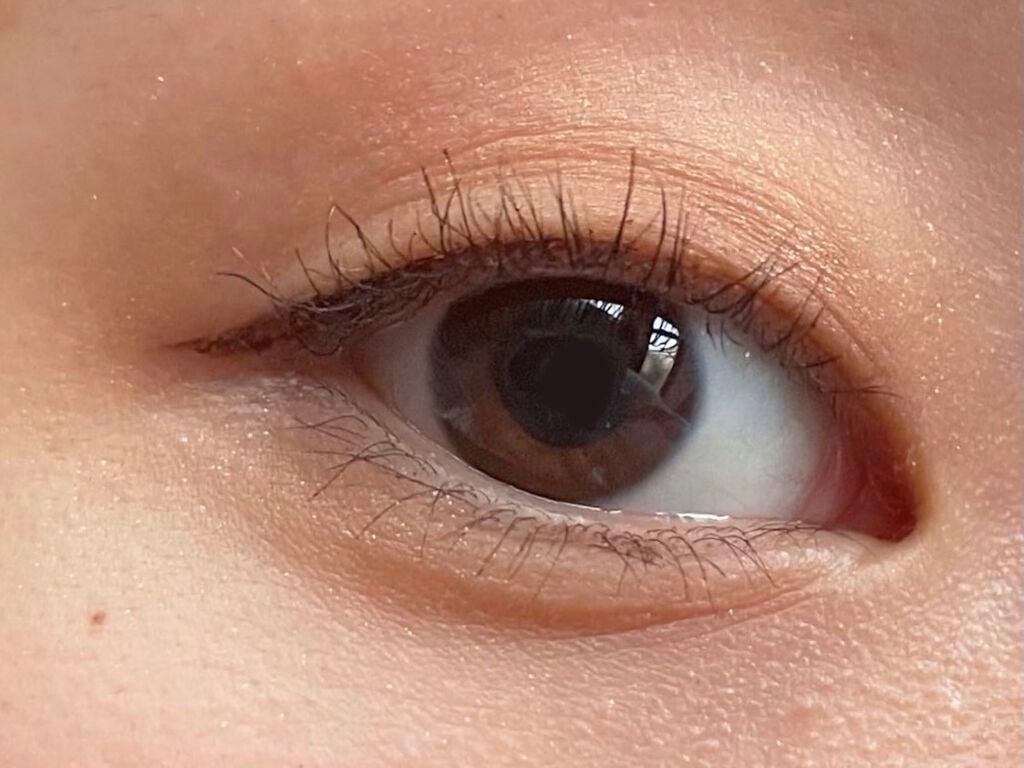 ヴォランタリーベイシス アイパレット/Celvoke/アイシャドウパレットを使ったクチコミ(3枚目)