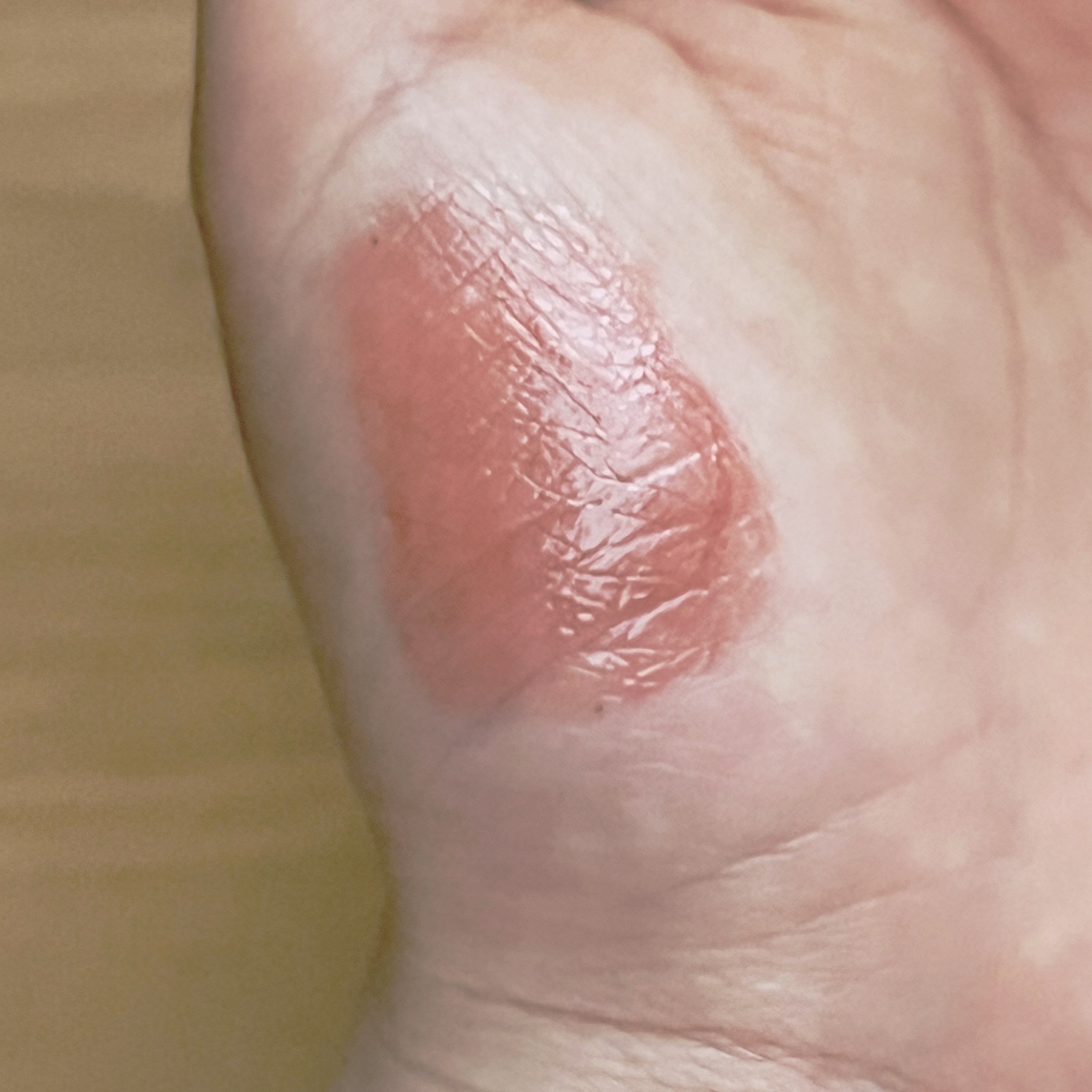 ステイオンバームルージュ/キャンメイク/口紅を使ったクチコミ（2枚目）