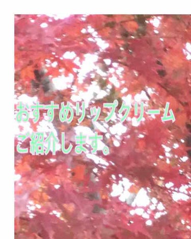  少し遅れて、あけましておめでとうございます！
今回は、2つのおすすめリップクリームを紹介します。あくまで個人の意見なので、信じすぎないようにご注意して読んでいただけるとありがたいです。

1つ目は、ヴ