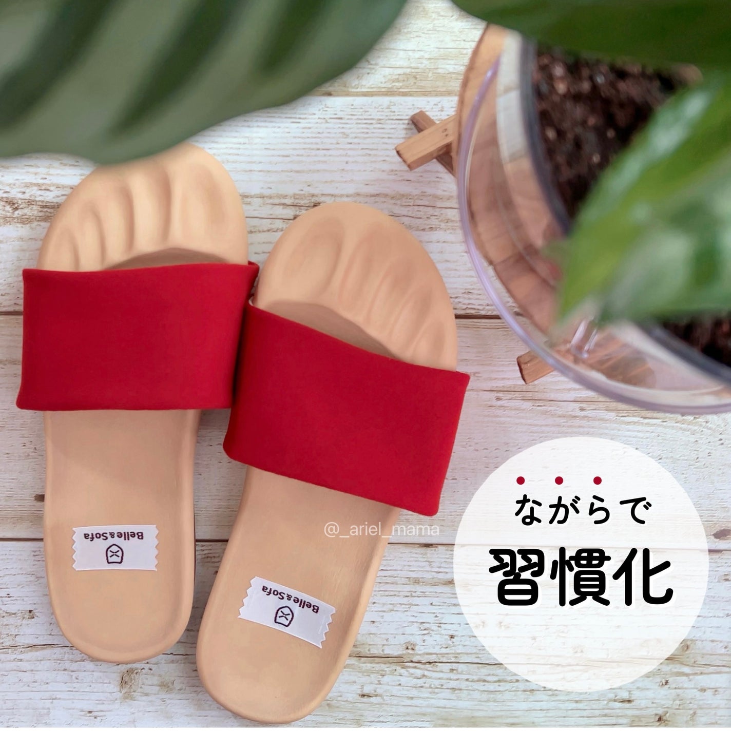 グーパー/Belle & Sofa/ボディグッズを使ったクチコミ(3枚目)