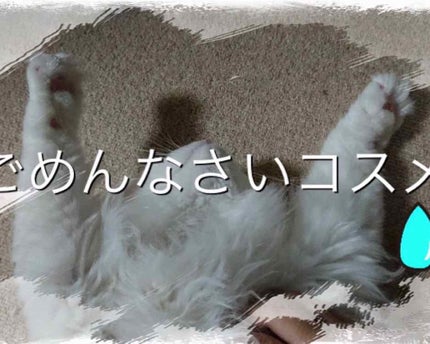 スポッツカバー ファウンデイション/SHISEIDO/クリームコンシーラーを使ったクチコミ(1枚目)