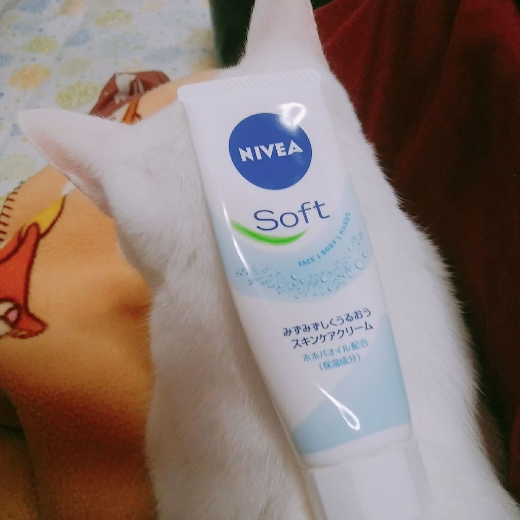 ニベアソフト スキンケアクリーム/ニベア/ボディクリームを使ったクチコミ（1枚目）