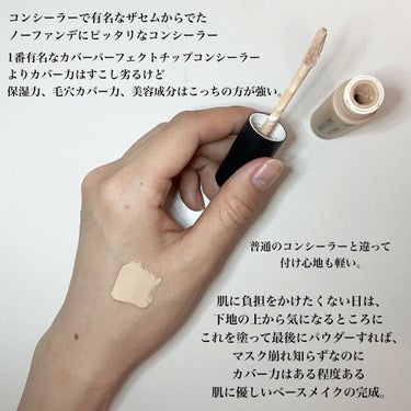 ミネラライジング ポア コンシーラー/the SAEM/リキッドコンシーラーを使ったクチコミ（2枚目）