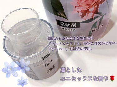 柔軟仕上げ剤  ハンサムリーフ 本体 570ml/IROKA/柔軟剤を使ったクチコミ（2枚目）