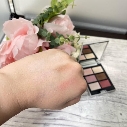 MY MIXED PALETTE 6色カスタムパレット/MN/マルチパレットを使ったクチコミ(2枚目)