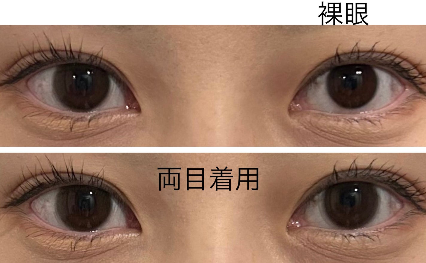 LARME MELTY SERIES(ラルムメルティシリーズ)/LARME/カラーコンタクトレンズを使ったクチコミ(3枚目)