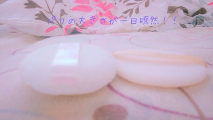 スキンケアパウダー/素肌記念日/プレストパウダーを使ったクチコミ(4枚目)