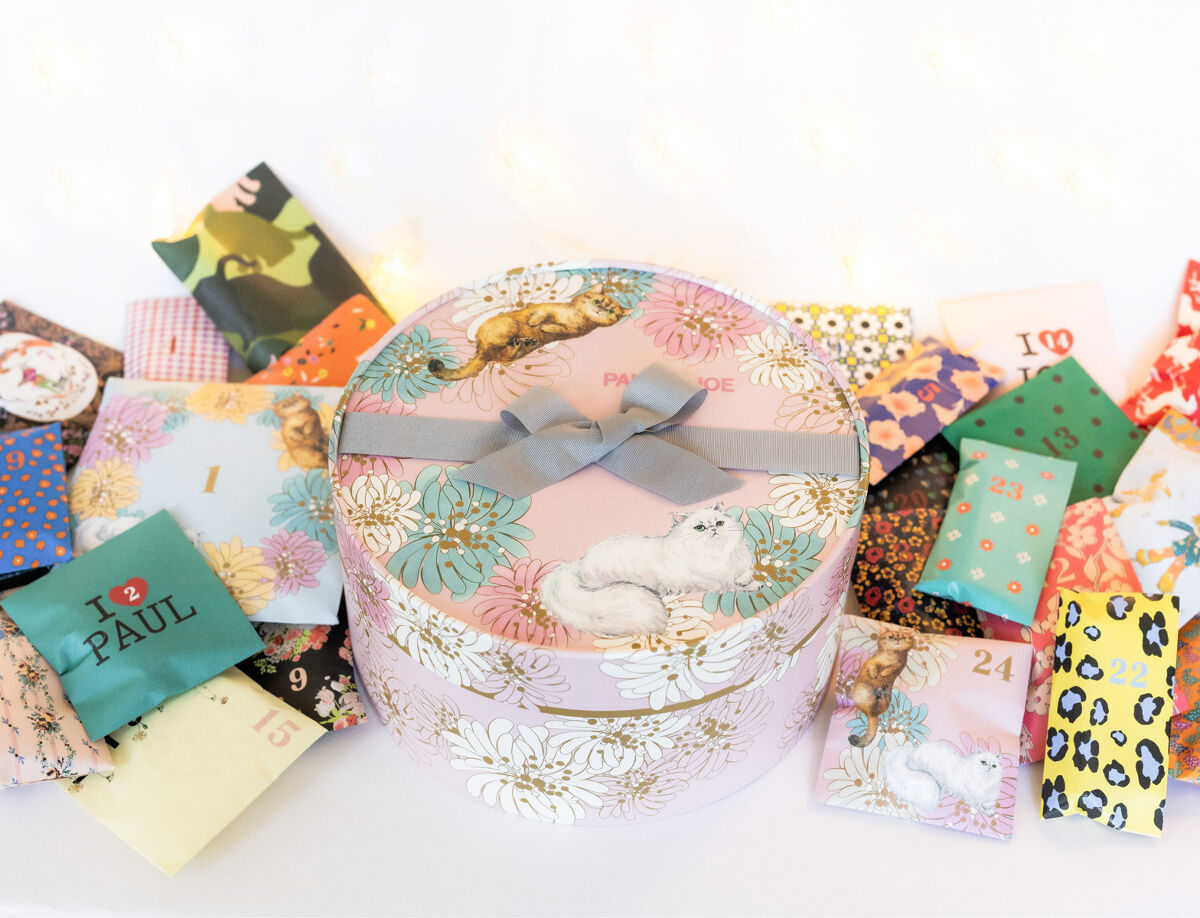  メイクアップ コレクション 2022/PAUL & JOE BEAUTE/メイクアップキットを使ったクチコミ（1枚目）