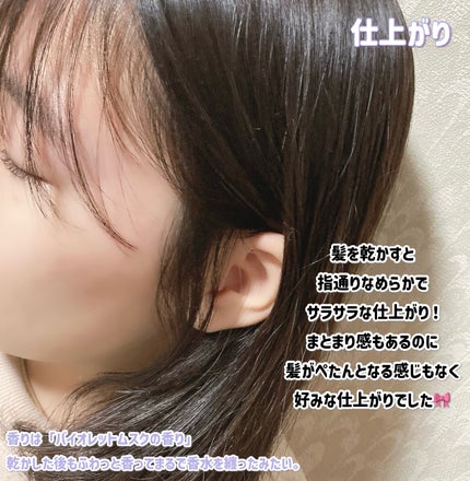  ã¹ãã»ã·ã£ã³ããŒïŒãã¢ããªãŒãã¡ã³ã ã·ã«ããŒãã€ããªãã¢/Off&Relax/åžè²©ã·ã£ã³ããŒã䜿ã£ãã¯ãã³ãïŒ5æç®ïŒ