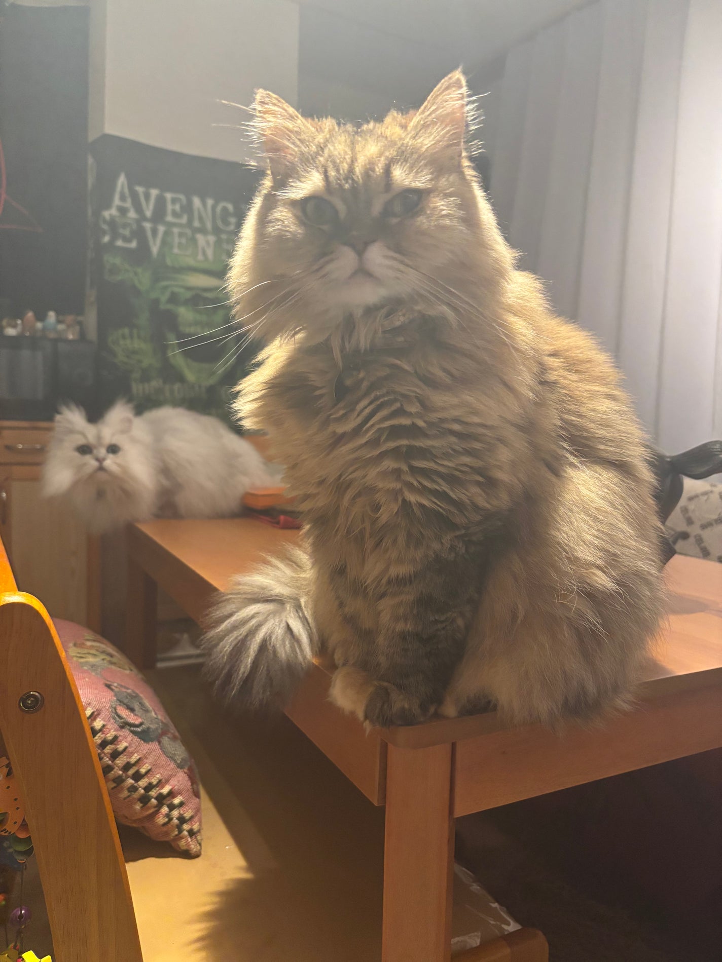 レーヴル サンティヤント/CHANEL/リップグロスを使ったクチコミ(1枚目)