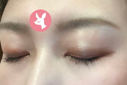 リアルクローズシャドウ/excel/アイシャドウパレットを使ったクチコミ(6枚目)