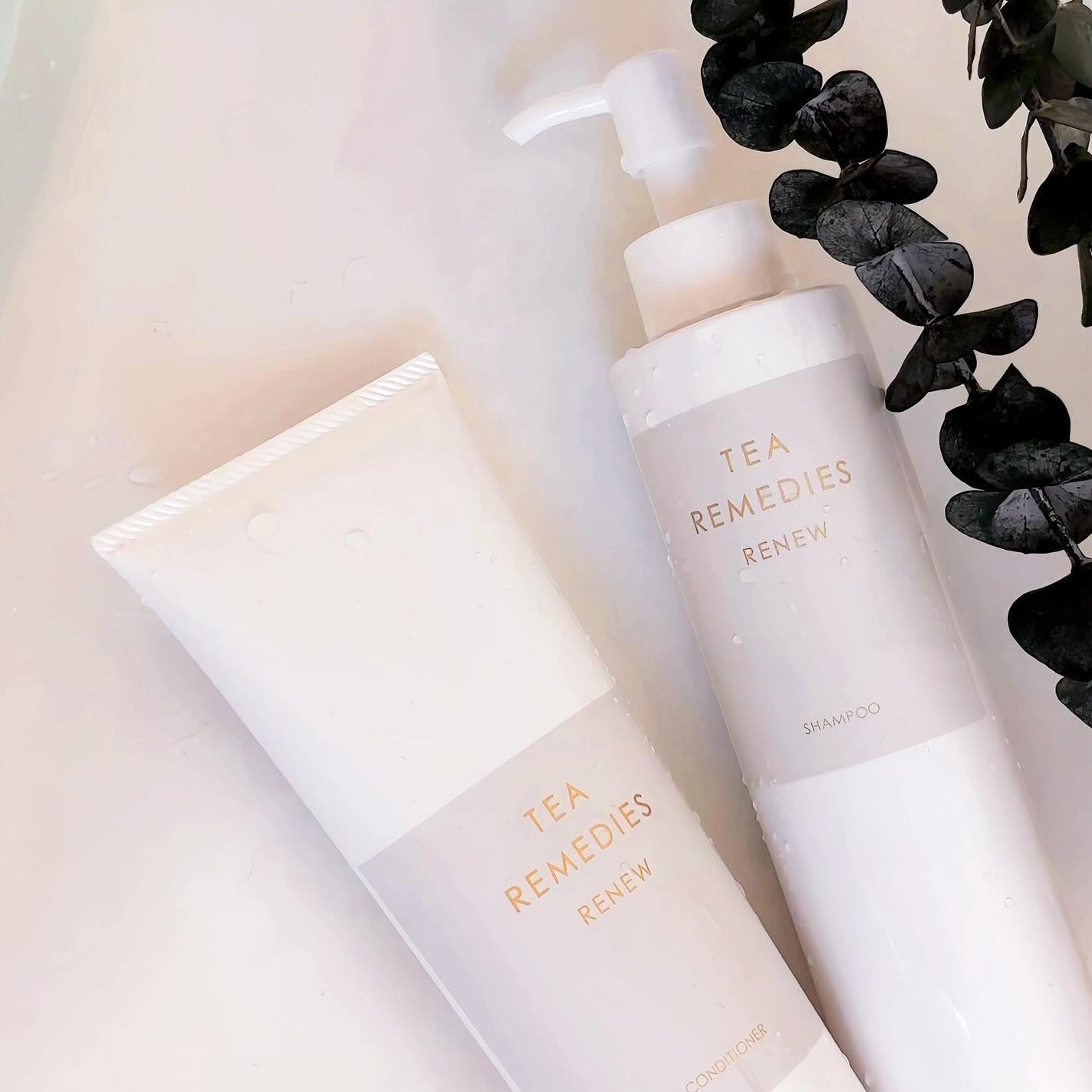 TEA REMEDIES RENEW コンディショナー/TEA REMEDIES/市販シャンプーを使ったクチコミ(2枚目)
