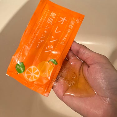 植物生まれのオレンジ地肌シャンプーS／オレンジ果汁トリートメントN シャンプー400ｍL/石澤研究所/シャンプー・コンディショナーを使ったクチコミ（2枚目）