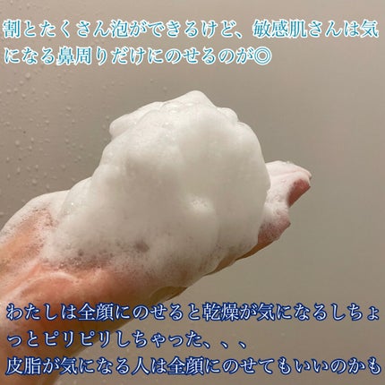 スイサイ ビューティクリア パウダーウォッシュN/suisai/洗顔パウダーを使ったクチコミ(5枚目)