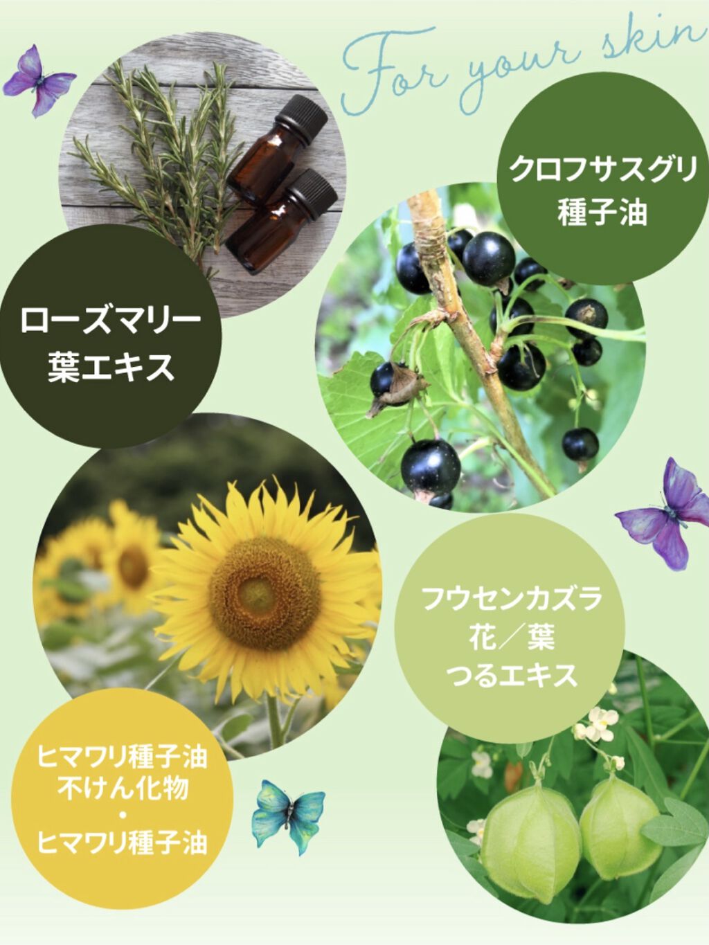 トランスルーセントパウダー/SRICHAND/ルースパウダーを使ったクチコミ（2枚目）