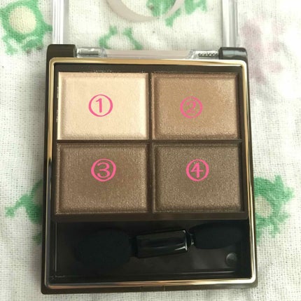 スキニーリッチシャドウ/excel/アイシャドウパレットを使ったクチコミ(2枚目)