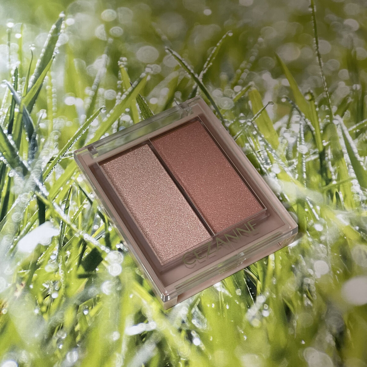 フェイスグロウカラー/CEZANNE/クリームハイライトを使ったクチコミ（2枚目）