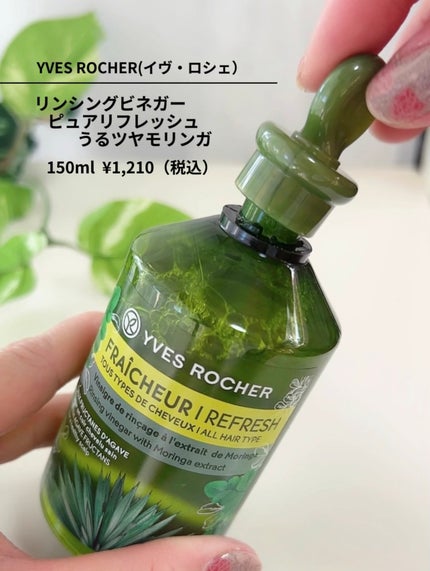 リンシングビネガー ピュアリフレッシュ うるツヤモリンガ /イヴ・ロシェ/洗い流すヘアトリートメントを使ったクチコミ(2枚目)
