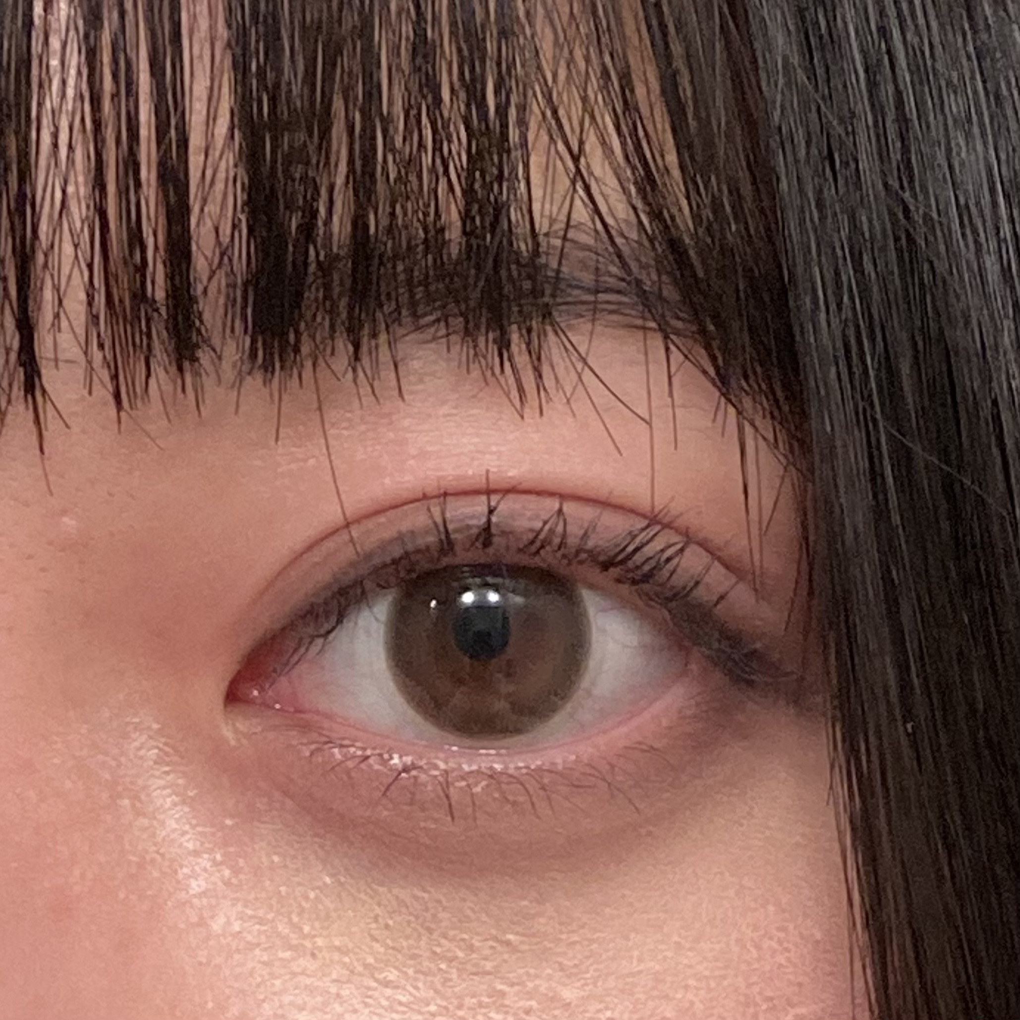 ピュアリティサークル/candy magic/カラーコンタクトレンズを使ったクチコミ（1枚目）