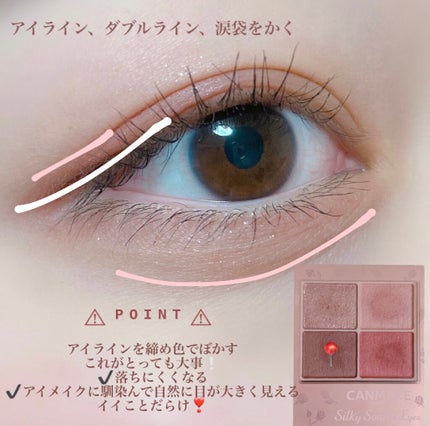 シルキースフレアイズ(マットタイプ)/キャンメイク/アイシャドウパレットを使ったクチコミ(5枚目)