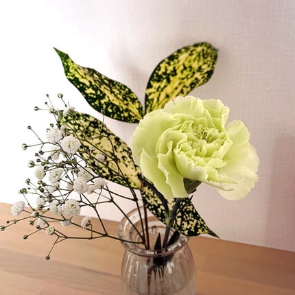 gumi【フォロバします♡】 on LIPS 「【お花の定期便bloomee】今週のお花報告💐✼••┈┈••✼..」(1枚目)