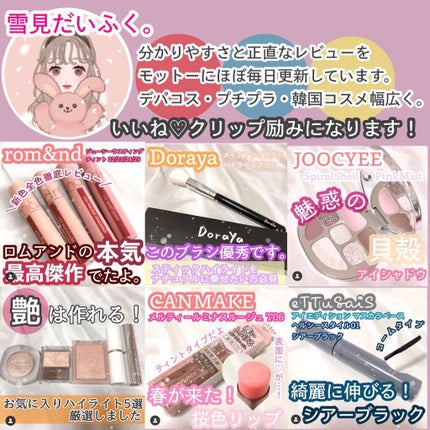 プロ アイ パレット/CLIO/アイシャドウパレットを使ったクチコミ(7枚目)