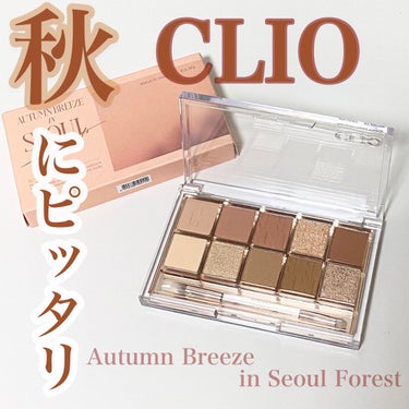 プロ アイ パレット/CLIO/アイシャドウパレットを使ったクチコミ（1枚目）