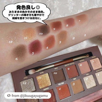 エクスプローラ12色 動物アイシャドウパレット/PERFECT DIARY/アイシャドウパレットを使ったクチコミ(7枚目)