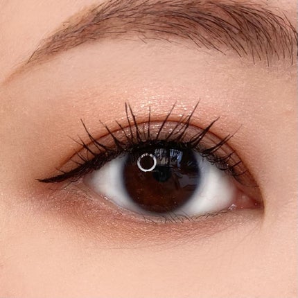 プティパレットアイズ/キャンメイク/パウダーアイシャドウを使ったクチコミ(6枚目)