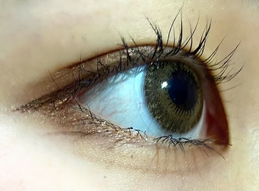 FLANMY 1day/FLANMY/ワンデー（１DAY）カラコンを使ったクチコミ（1枚目）