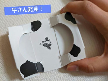 トーンアップクリーム ミルクホワイト/モウシロ/化粧下地を使ったクチコミ(8枚目)