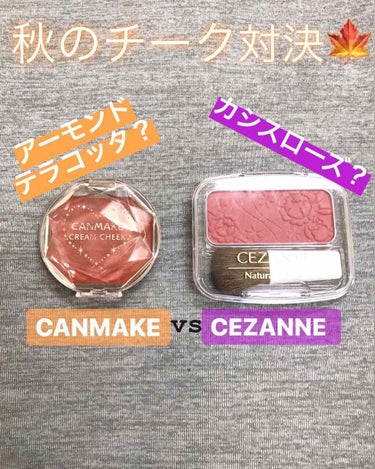 ナチュラル チークN/CEZANNE/パウダーチークを使ったクチコミ（1枚目）