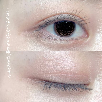 シャドウパレット/dasique/アイシャドウパレットを使ったクチコミ(3枚目)