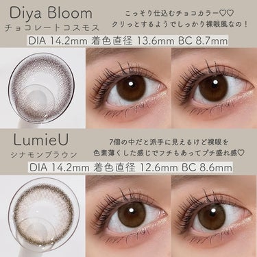 Angelcolor Bambi Series Vintage 1day/AngelColor/ワンデー（１DAY）カラコンを使ったクチコミ（3枚目）