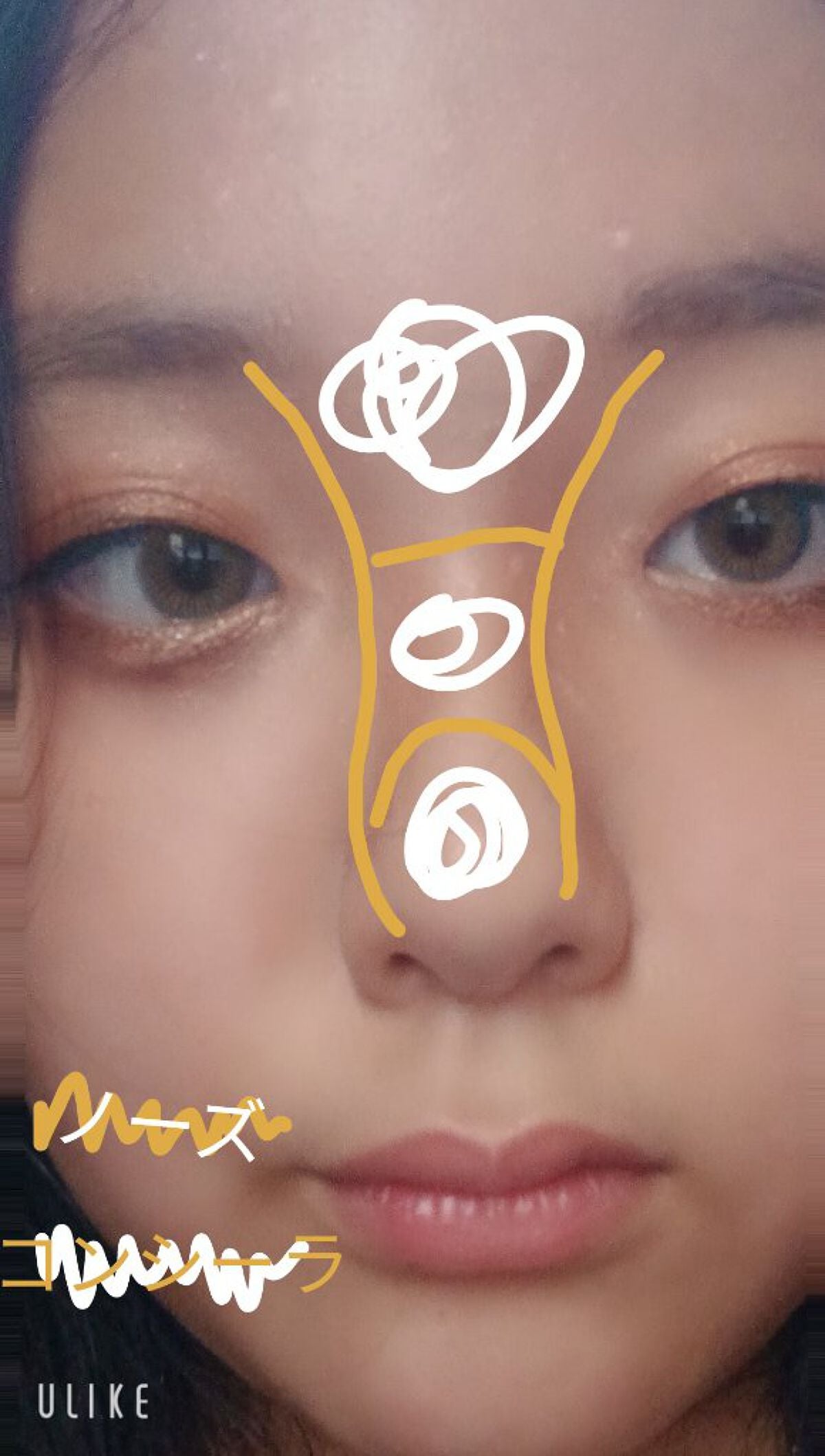 Rio(リさん) on LIPS 「綺麗なノーズの入れ方と眉毛について!まずノーズから紹介します!..」(6枚目)