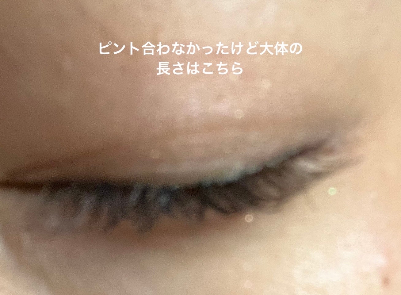 イージーラッシュ/ドーリーウインク/つけまつげを使ったクチコミ(4枚目)