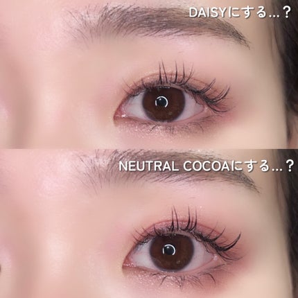 ゆんちゃん🍑 on LIPS 「AMUSEのアイカラーパレットに韓国と日本でそれぞれ限定色があ..」(9枚目)