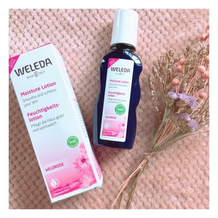 ワイルドローズ モイスチャーローション/WELEDA/化粧水を使ったクチコミ(4枚目)