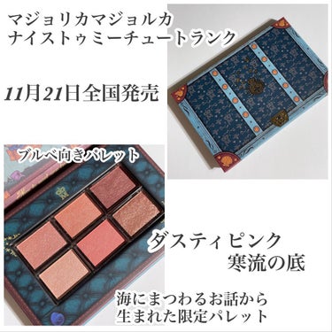 ナイストゥミーチュートランク ダスティピンク 寒流の底/MAJOLICA MAJORCA/アイシャドウパレットを使ったクチコミ（2枚目）