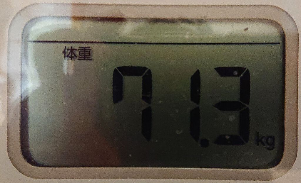 いちごみるく🍼🍓 on LIPS 「ダイエット14日目【食べたもの】朝無し昼無し間食チョコレートホ..」(2枚目)