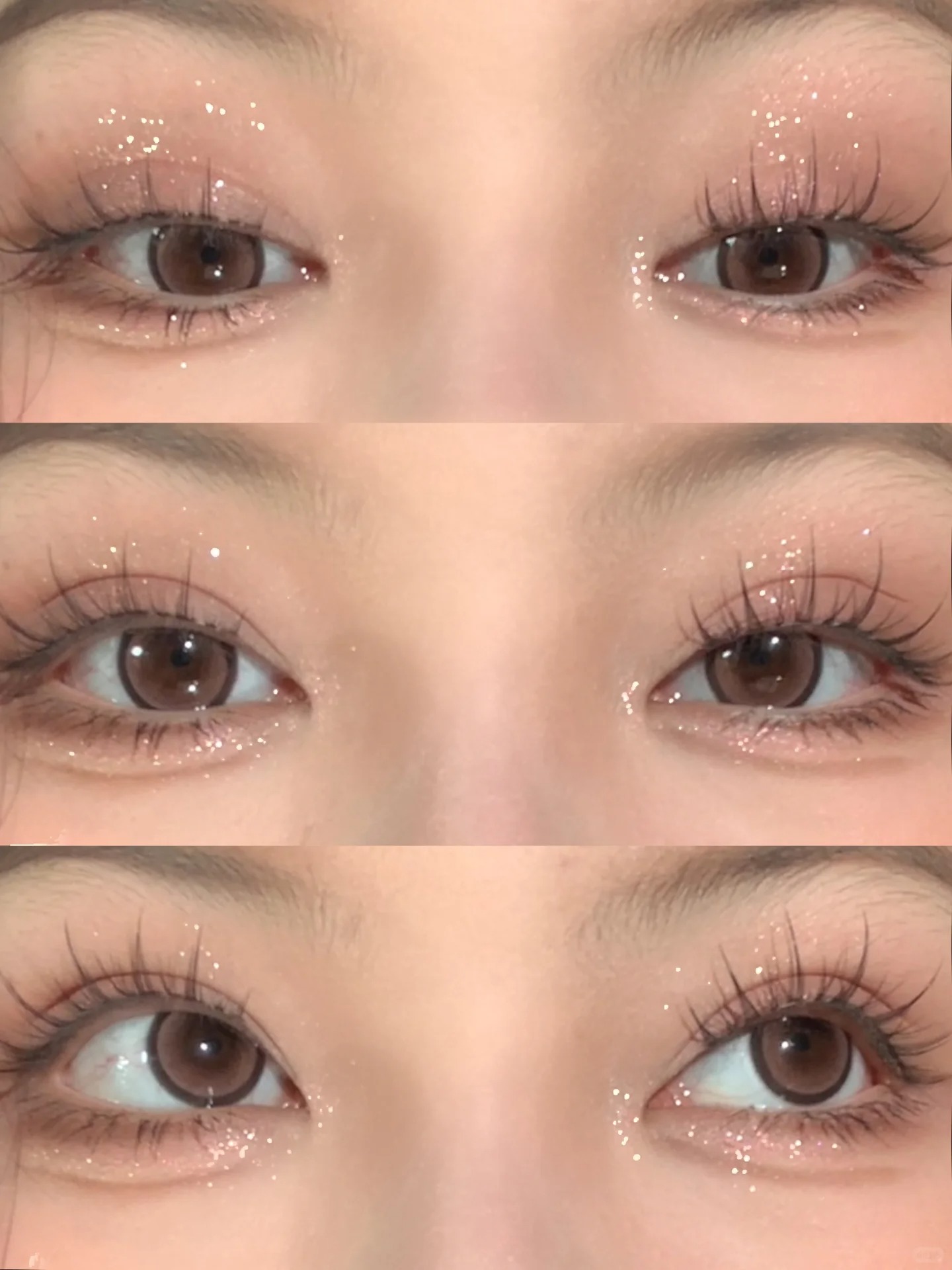 エクスプローラ12色 動物アイシャドウパレット/PERFECT DIARY/アイシャドウパレットを使ったクチコミ（1枚目）