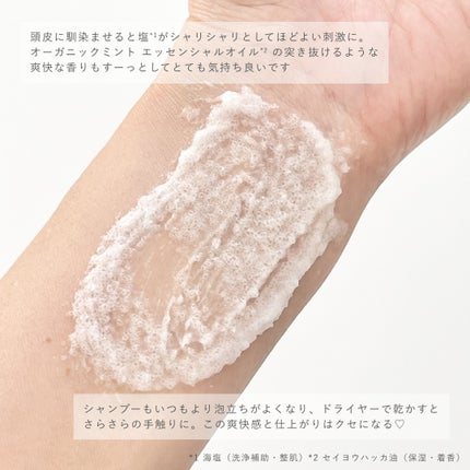 ヘッドスクラブ リフレッシング(ミント)/SABON/ヘッドスクラブを使ったクチコミ(3枚目)