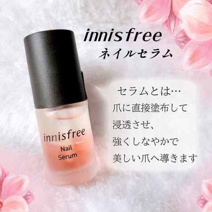 ネイルセラム/innisfree/ネイルオイル・トリートメントを使ったクチコミ(1枚目)