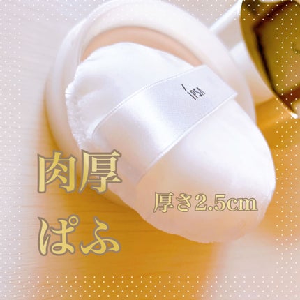 スキンケアパウダー/IPSA/プレストパウダーを使ったクチコミ(3枚目)
