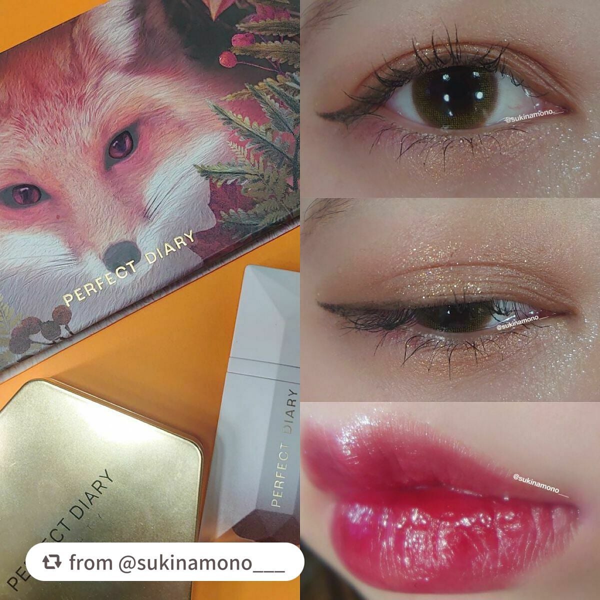 エクスプローラ12色 動物アイシャドウパレット/PERFECT DIARY/アイシャドウパレットを使ったクチコミ(4枚目)