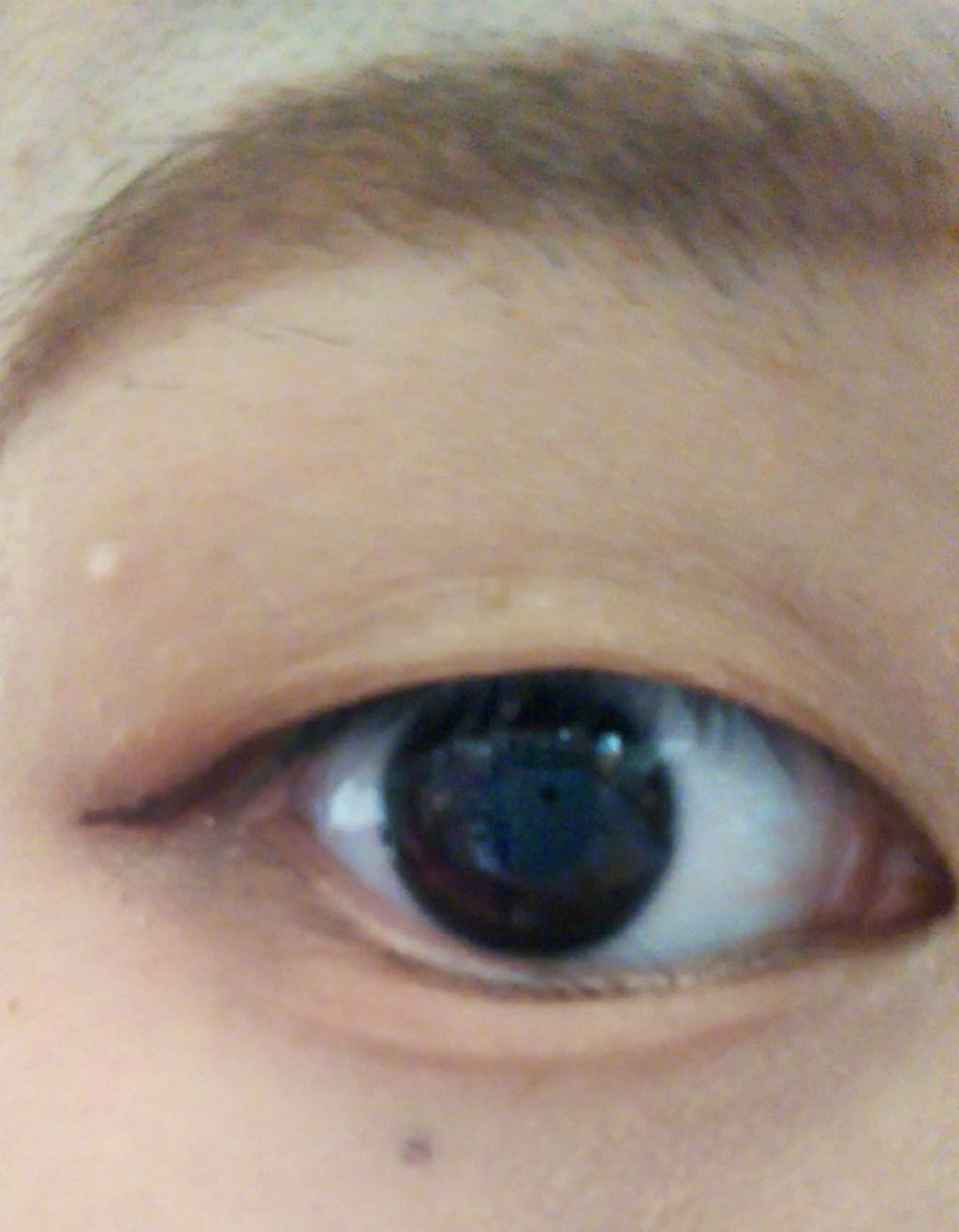 カラーステイ クリーム アイシャドウ/REVLON/ジェル・クリームアイシャドウを使ったクチコミ(4枚目)