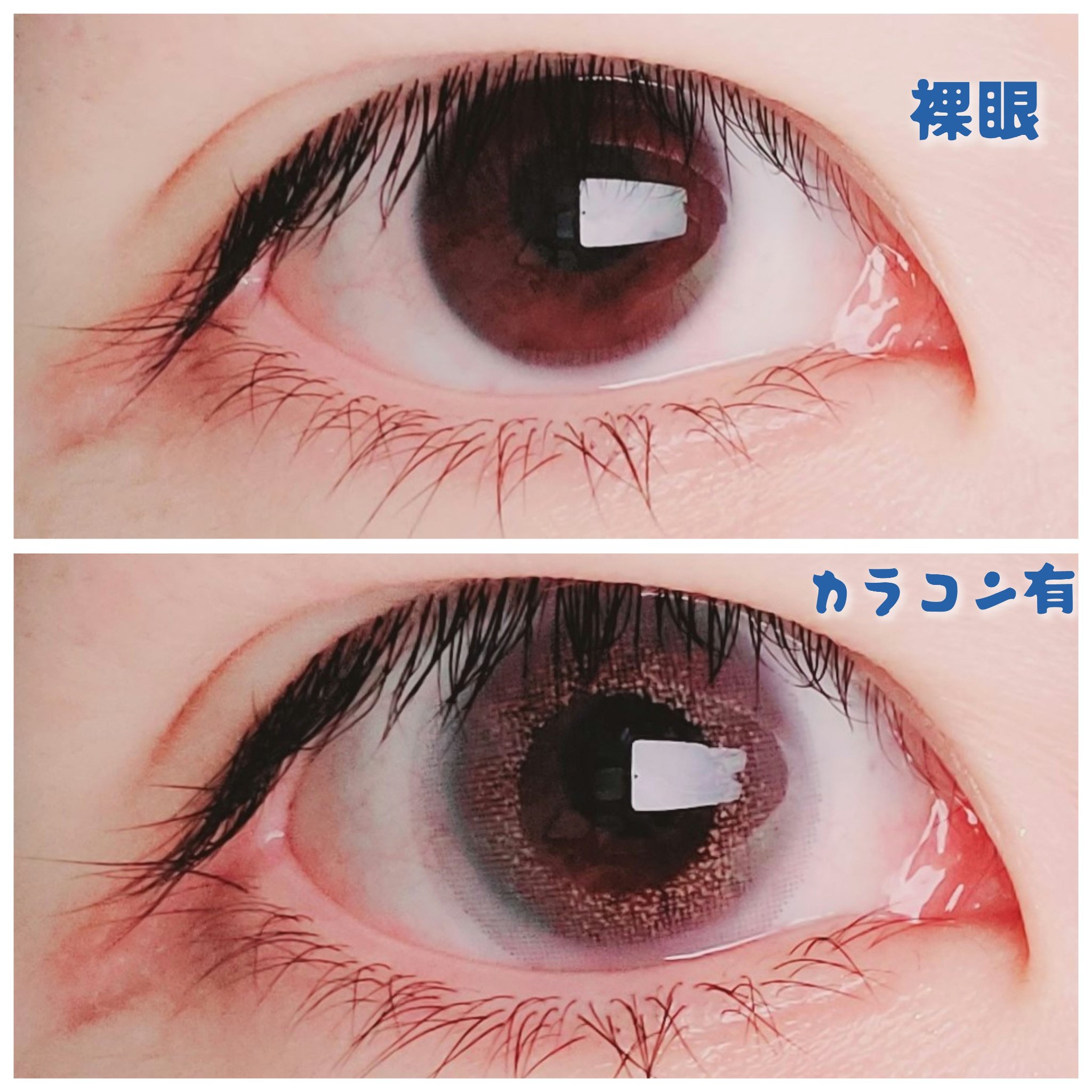 Angelcolor Bambi Series Vintage 1day ヴィンテージグレー/AngelColor/ワンデー（１DAY）カラコンを使ったクチコミ（3枚目）