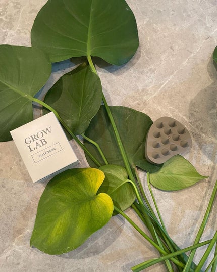 スカルプブラシ/GROW LAB/スカルプブラシを使ったクチコミ(2枚目)