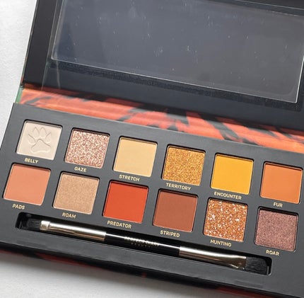 エクスプローラ12色 動物アイシャドウパレット/PERFECT DIARY/アイシャドウパレットを使ったクチコミ(1枚目)